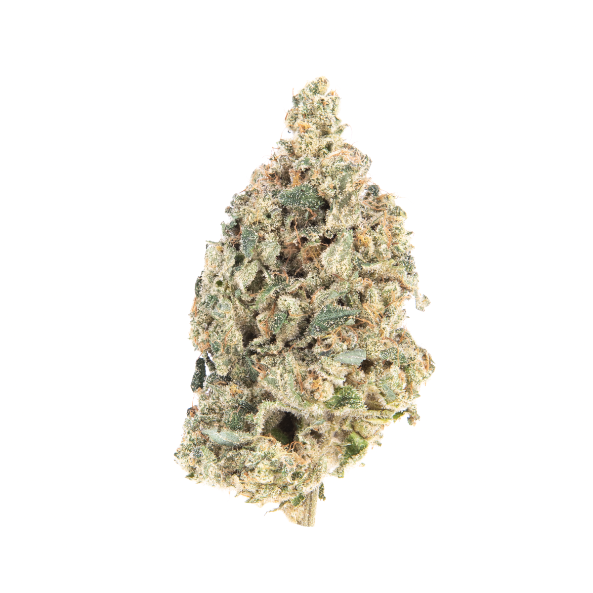 Pineapple Rose Weed Strain Information Leafly